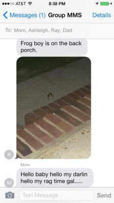 reptles:  there’s this toad at my parents house that always shows up at night to eat the bug attracted by the back porch lights and he has become pretty famous among family text messaging groups..