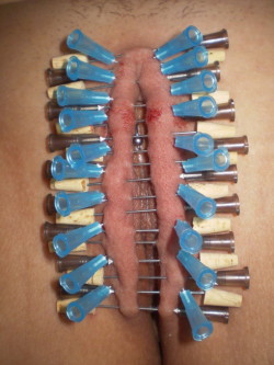 Pussy with VCH, then play piercing to the max on the outer labia, long needles (grey) and short needles (blue), about 37 in total!