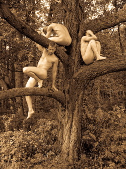 maleposers:  tree climbing