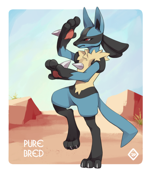 kairisk: Lucario Variations! Commissioned by @ashanimus ;o The elusive Professor Cedar has once again brought us additional research on new crossbreeds on what was supposed to be her sabbatical in the Sinnoh desert steppe.  Riolu that flourish these