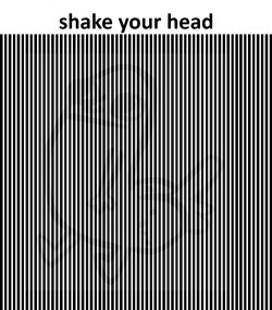 kool-aid-jammers:bruhdidas:  loudog8:  Shake your head  I’m so mad  dickbuttofficial it you