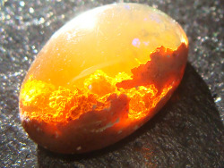 cranky-urie:  aussiepikachu:  the-awesome-quotes:  Extremely Beautiful Minerals And Stones.  watermelon stone  ^ i scrolled back