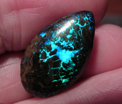 lizardtakesflight:  Australian Opals from Planet Opal 