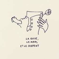 petitesluxures:  Ping-pong de thèmes avec @matthewzaremba // “The rose, the hand and the snake”, theme swapping with @matthewzaremba #drawing #draw #dessin #doodle #sketch #sketching #illustration #graphic #eroticdrawing #eroticart #luxure #érotisme