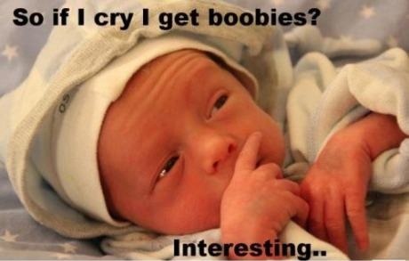 Funny babies quotes