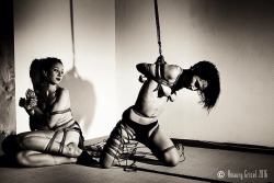 amaury-grisel-shibari:  Cordes intimes avec Ema et Diana  Kinbaku &amp; Photography : Amaury Grisel  Studio place des cordes 