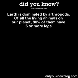 did-you-kno:  Earth is dominated by arthropods. Of all the living animals on our planet, 80% of them have 6 or more legs.  Source