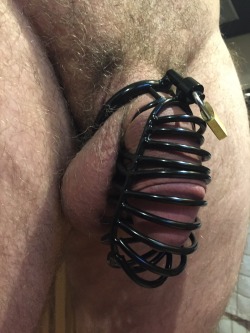 cuckolddreamerwithmywife:My first cock cage!! My Wife imaging me walk around the house with my cock hanging out of my pants.