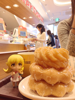 nagumoa:「忍野忍　mister Donut」