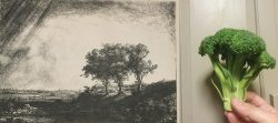 printmakersopenforum:  A grad Art History prof told us that Rembrandt modeled his trees from broccoli. Last night was the moment of truth. 