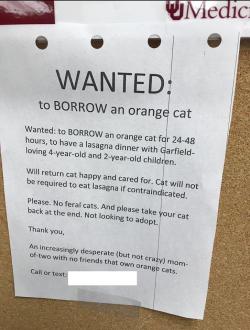 theoldmegisdead: hurricane-overseas:  the-at-symbol:  30-minute-memes: Wanted: Orange Cat  https://www.google.com/amp/s/amp.thisisinsider.com/garfield-cat-dinner-party-2018-8  A woman successfully borrowed an orange cat for a Garfield-themed dinner party