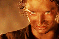 funnyinternetpictures:  20 minutes into LOTR and chill and he gives u this look