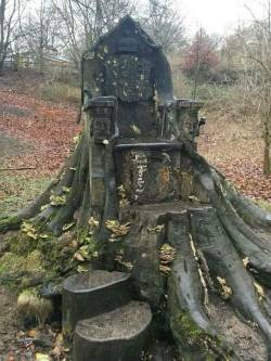 answersfromvanaheim:  runecestershire: jazz2midnight:  tombstonetourism: A tree trunk throne in Kendall, England.  Doesn’t look safe for a mortal.   I’m gonna sit in it.I’ve read all the stories, I know all the tropes. But you know what? I’m gonna
