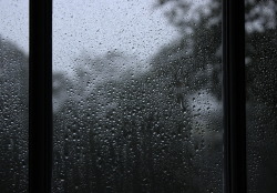 gudetamago:  rain 