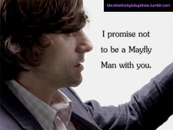 &ldquo;I promise not to be a Mayfly Man with you.&rdquo;