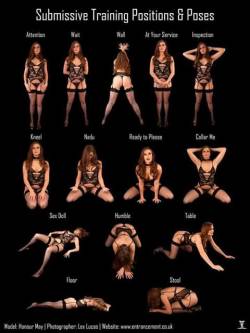 beautifullybrokensubmissive:  S-type Positions… Which one is your favorite? ~Beautifully Broken~ 