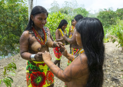 Panama, Darien Province, Bajo Chiquito, Women Of The Native Indian Embera Tribe, by Eric Lafforgue.