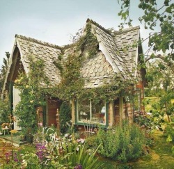 yoga-granola:  jellofingers: m-e-d-i-e-v-a-l-d-r-e-a-m-s:  Celtic houses  Where my dreams take place   Agree.  Just heavenly&hellip; I want to go to any one of these places&hellip; seems perfect.