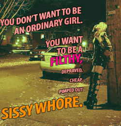 fantasycaptions4u:The best Sissy meme ever!