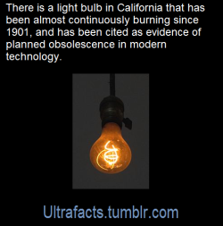 ultrafacts:    The Centennial Light is the world’s longest-lasting light bulb, burning since 1901. It is at 4550 East Avenue, Livermore, California, and maintained by the Livermore-Pleasanton Fire Department. Due to its longevity, the bulb has been
