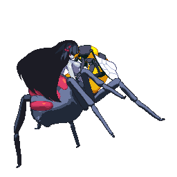 Busty spider monster girl arachne getting fucked by a wasp, not sure whoâ€™s cumming out on top for this one.