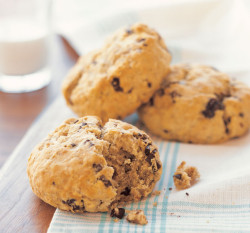 belgiumchocolategourmet:  Oatmeal Scones with Cherries, Walnuts and Chocolate Chunks Level: Beginner ✦Recipe►http://blog.williams-sonoma.com/oatmeal-scones-with-cherries-walnuts-and-chocolate-chunks/