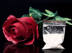 Love is like Cocaine&hellip;. #love #cocaine #loving #cocainecrazy #roses #art #rose #snow