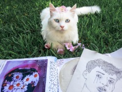 coltre:  c0ffeekitten:  thecutestofthecute:  coltre:  she come in my garden everyday and sit in front of me while I work on my sketchbook. she doesn’t want food, she just sit there looking at me. today I covered her in flower and we were both happy.