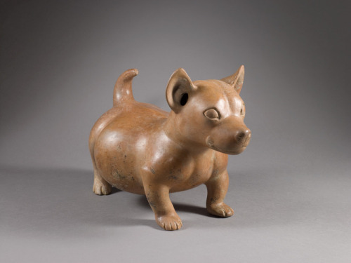 slam-african:Standing Dog, Colima, c.300 BC–AD 300, Saint Louis Art Museum: Arts of Africa, Oceania, and the Americashttps://www.slam.org/collection/objects/6350/