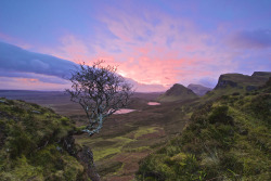 everything-celtic:    Quiraing Tree, Isle of Skye, Scotland (x) 