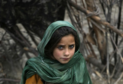 thauwn:  somewhereinhersmilee:  mizzhazeline:  An Afghan girl’s beautiful eyes An Afghan girl with some strikingly beautiful eyes…Look at that stare…It’s deadly and it’s a bit wonderful, too…How preety she is…  Beautiful  so beautiful oh