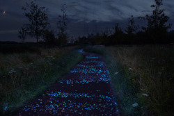 forestbeatle:   The first innovative bicycle path in the Netherlands will be paved with light stones that will charge during the day and emit light during the evening. The path will run by the home that Vincent van Gogh lived in from 1883-5.  that is