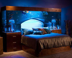 cheskamouse:  yourseconddaddy:  lushusbabygirl:  zacharieshusband:  shatterstag:  just-stuck-in-my-computer:  aquarium headboard clear bathtub sleepover room staircase color pallet door tree house kids bedroom refrigerator   THE FIRST ONE IS MY FUTURE