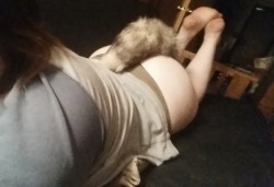 foxytail11:  “feeling really good about myself today. Have a tail pic ;)”Source: http://tiny-chai-cat.tumblr.com/Thank you so much for the wonderful submission!  Really cute angle!  Adorable butt, tail and feet hehe