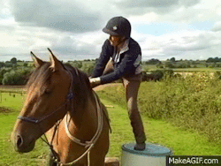 equine-awareness: There are better ways to start a horse than to just throw on the saddle/rider and let them freak out until they exhaust themselves. All of these gifs are from videos of a horse’s first time being ridden, or first time with a saddle