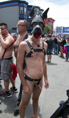 Who’s ready for Folsom??  I have my outfit picked out! Say hi if you see me on the street!