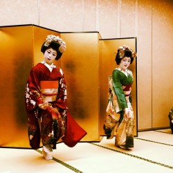 geisha-kai:  Maiko of Yamagata, Nanoha and Shino by @tsubuansukico on Instagram