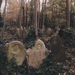 hiboulette:Highgate Cemetery, London—October 31, 2015