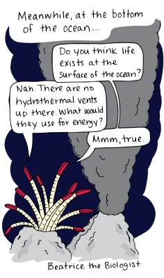 beatricebiologist:  Tube worm thoughts.  