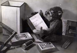 Le singe photographe lisant le Manuel de photographie de H. Muller.