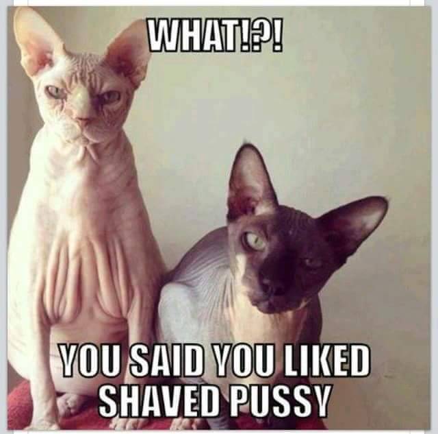 Atk petite shaved pussy pics