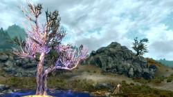 skyrim-photography:  In the Plains of Whiterun- Skyrim-Photography 
