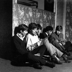 The rolling stones 