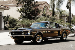 musclecarblog:  1968 Shelby GT 350 by I am Ted7 on Flickr.