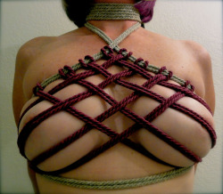 blockoverheads:  miporno:  (vÃ­a Breast Bondage)  I wanna learn this!xD   Beautiful rope work, for you, Sir.