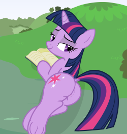 Just the book horse with a book&hellip; :3THIS IS A SERIES AND THERE IS MORE TO COME!!!!