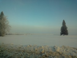 Taken on post yesterday. You can&rsquo;t even see Birch Hill because of the fog lol.