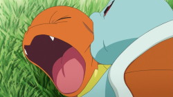 the-fast-and-the-fluffiest:  thatmetticguy:  therandominmyhead:  Payback.  However blastoise is taking it like a champ and not like a big bitch like Charmander did. Blastoise proved to be the best once again  shits gettin real in the Pokemon fandom 