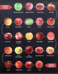 juniperlefae:  trashboat: great graphic, very helpful for selecting apples in regard to baking, but one amendment should be considered: a red delicious isn’t an apple it’s a wet clump of bitter sand    Now’s a good time to remind everyone red delicious