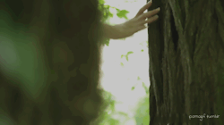 iwanttobeafirefly:  pornogif:  Girl:  Lola RêveFilm:  My friend Lola Rêve fucked in the ass by a stranger in forest (Russian Institute)All GIFs / Follow me   ✶Firefly✶